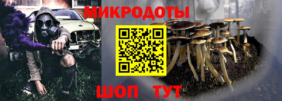 Галлюциногенные грибы Psilocybe  Галлюциногенные грибы прущие грибы  Ефремов  Вход с VPN 